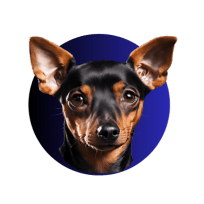 Design sem nome (4)